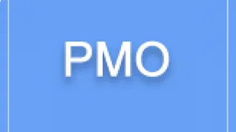 5 Questions to Ask yourself while forming a PMO