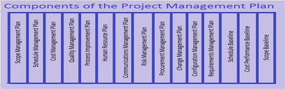 What is a Project Management Plan What is a Project Management Plan
