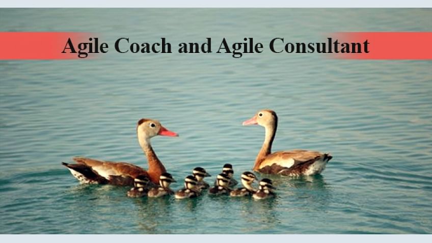 What is the difference between Agile Coach and Agile Consultant?