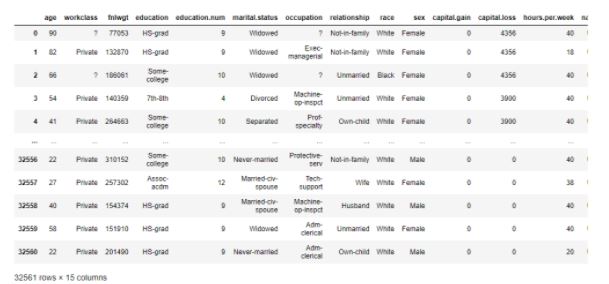 19-adult-census