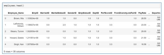 19-dataset