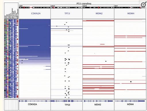 Bioinformatics