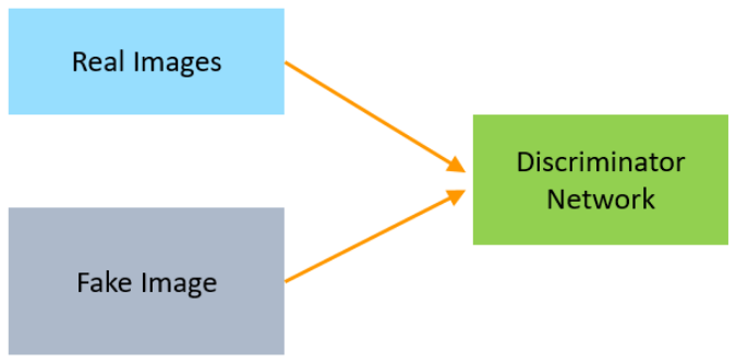 DiscriminatorNetwork