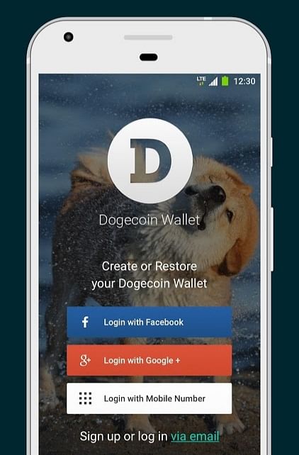 The Digital Dogecoin Wallet 1