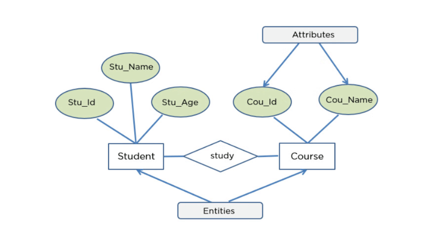 ER Diagram