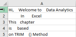 Excel-Data-Cleaning-Trim-original.