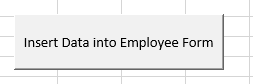 Excel-User-Forms-Final-Button.
