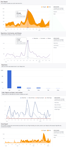 Facebook_Insights_8