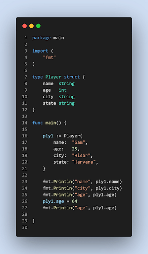 struct assignment golang Go_Struct_5