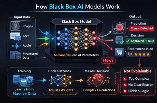How Black Box AI Works
