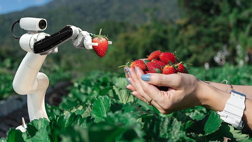 Leveraging AI in the Agriculture Industry