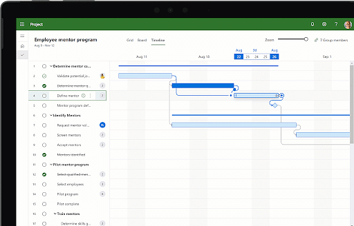 MS_Project