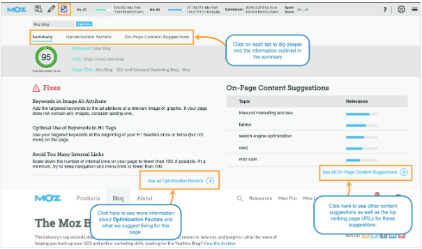 Moz_SEO_Tool_14.