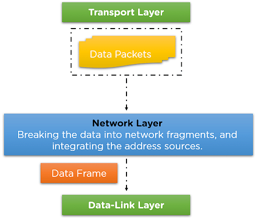 Network Layer In the OSI Model: One-Stop Guide | Simplilearn