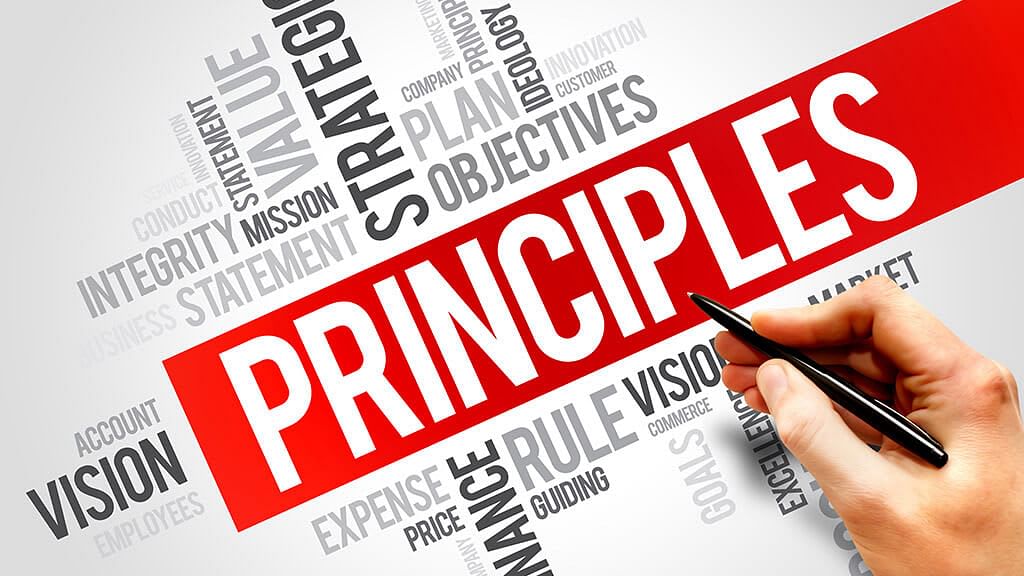 research and describe the principles of project management