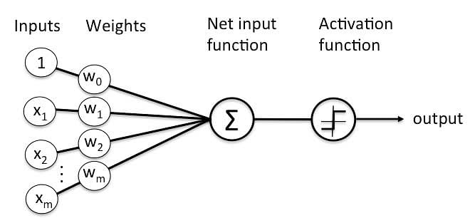 AI Academies