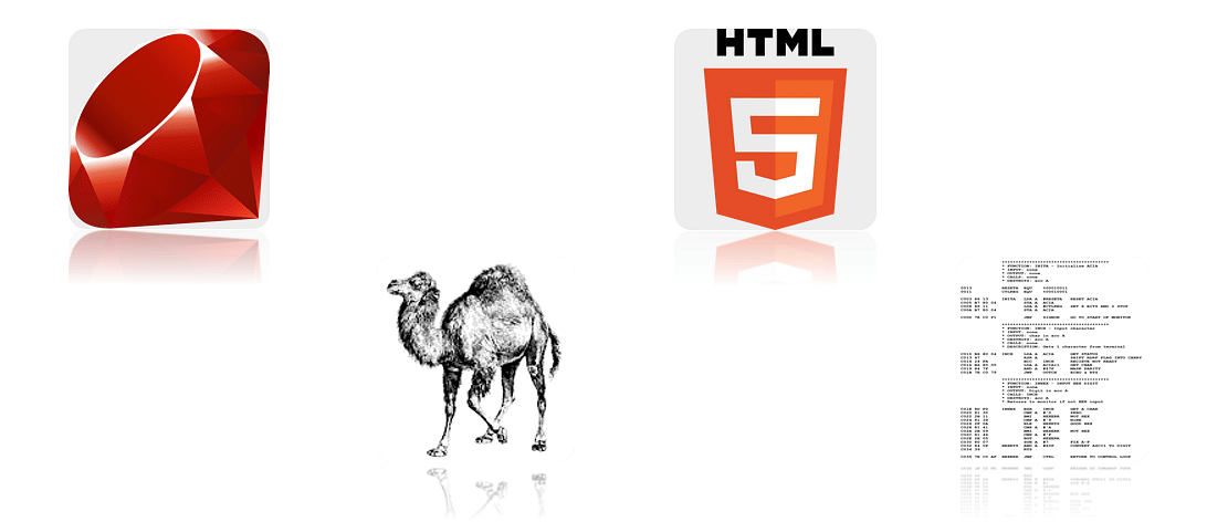 Which Programming Languages Do Hackers Use?