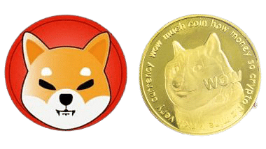 Shiba Inu Coin: Future Cryptocurrency 2