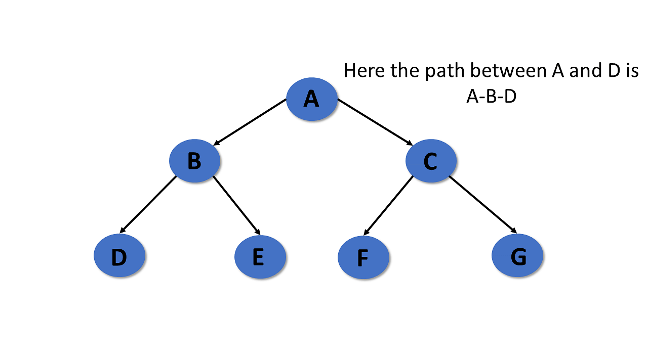 Path-of-tree-data-structure.