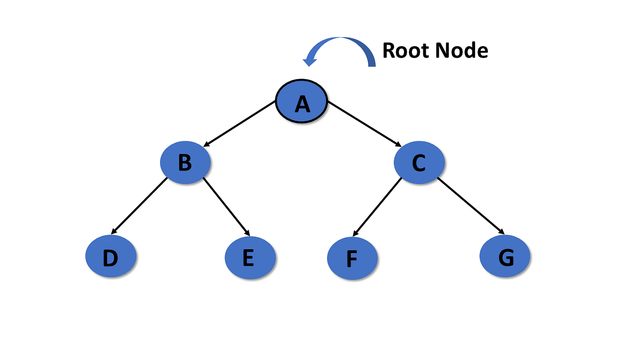 Root-node.