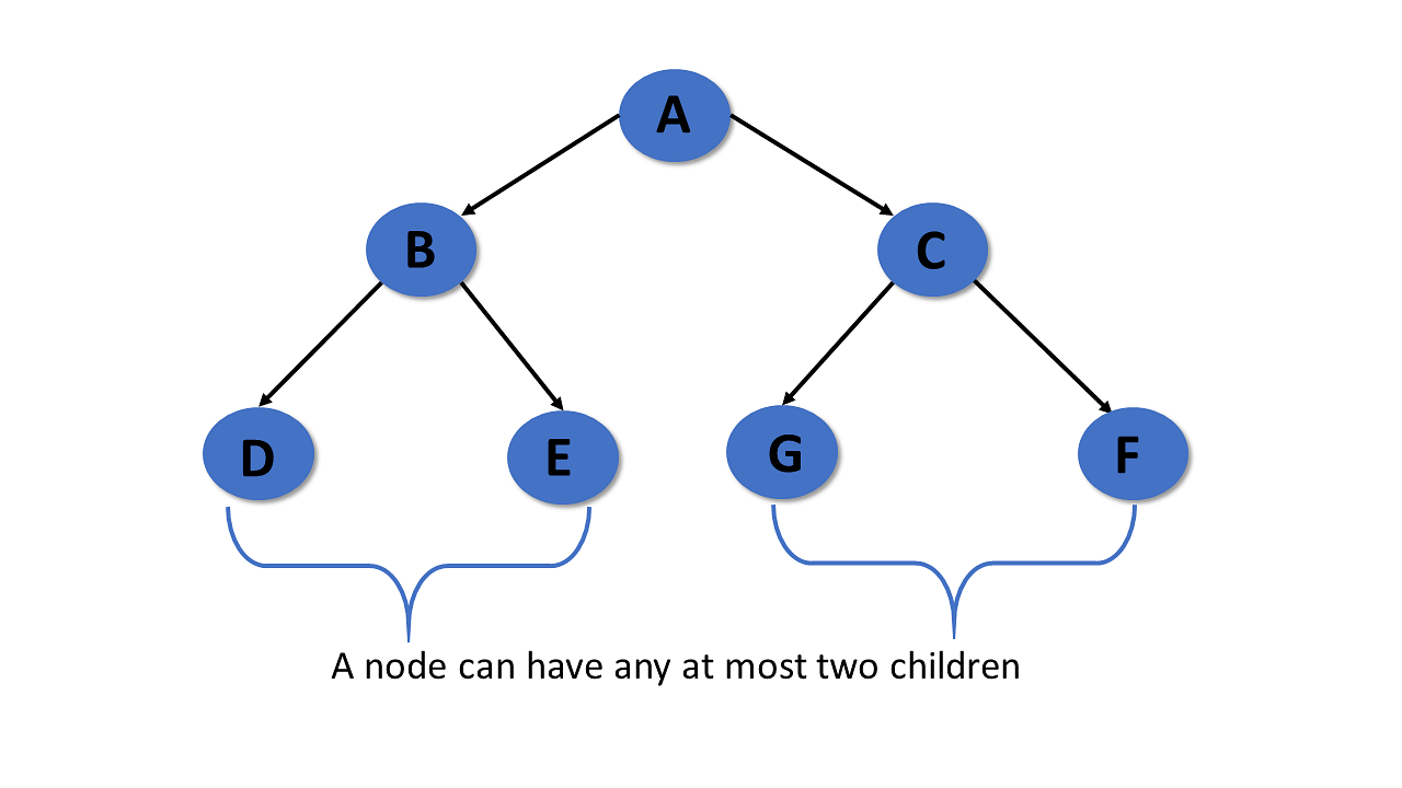 Trees-Soni/binary-tree.