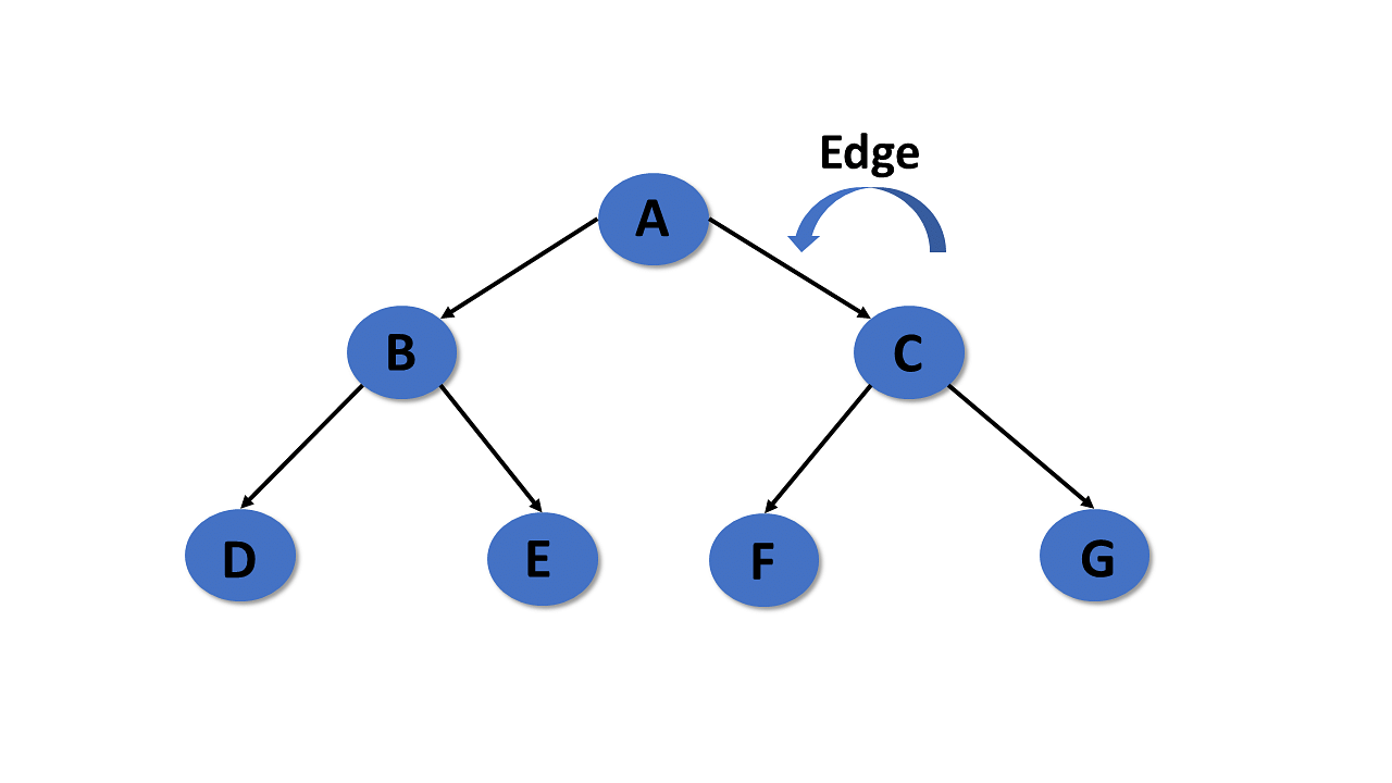 edges-of-tree-in-data