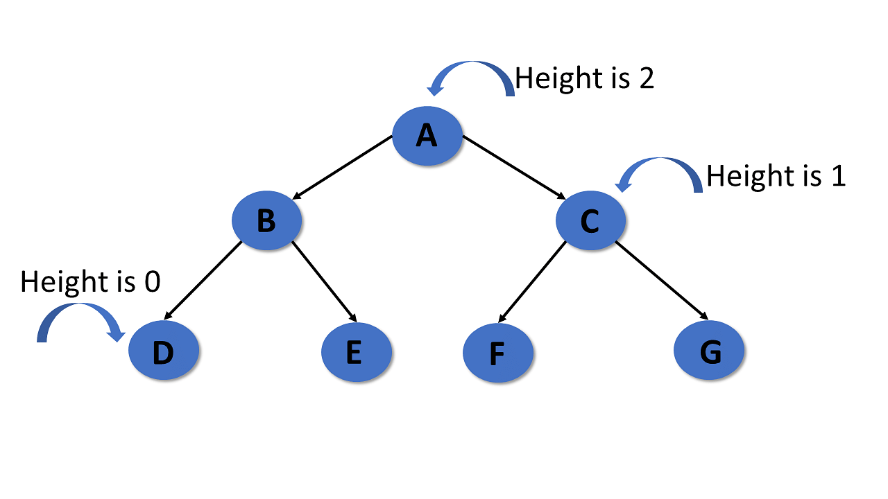 height-of-tree-data-structure