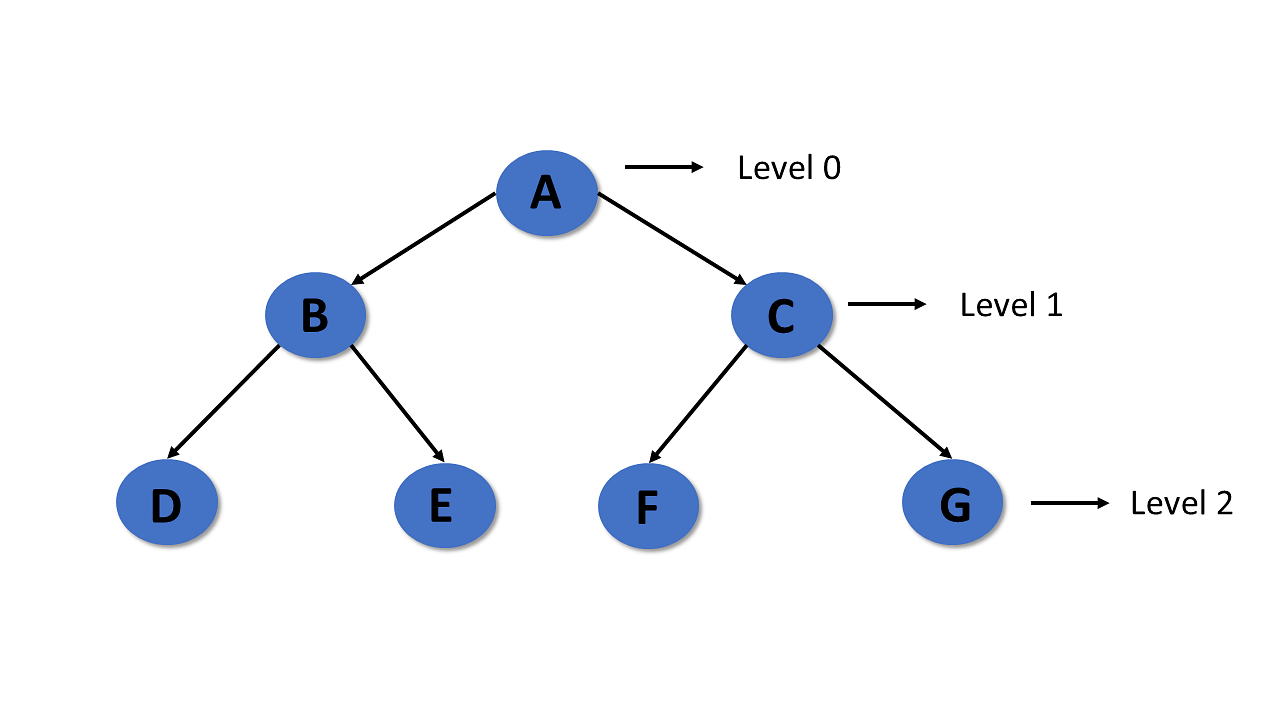 level-of-tree-data-structure