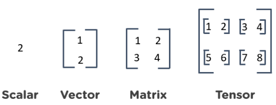 Types Of Tensors