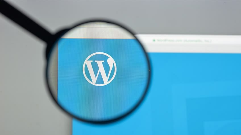 About to Launch a WordPress Site? Here's What You Need to Know About SEO