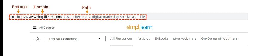URL Structure