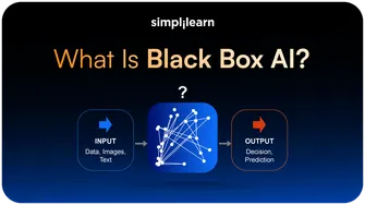 What Is Black Box AI?: How It Works, Key Features, and Applications