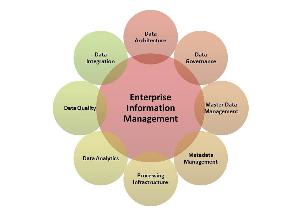 Enterprise Information Management