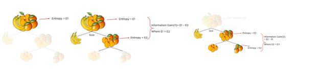 entropy.