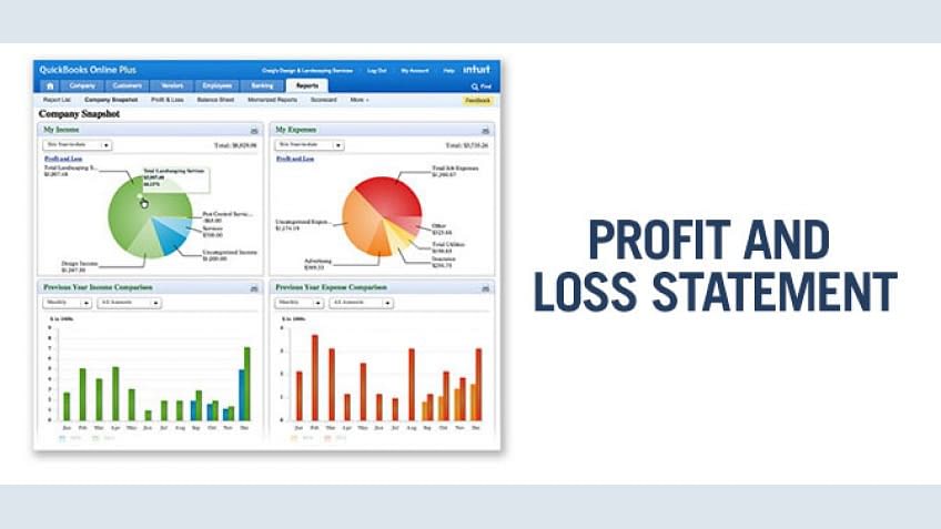 Profit and Loss Statement