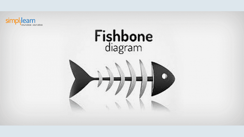 Complex Project Management Issues? Fishbone Diagram is here to Help You