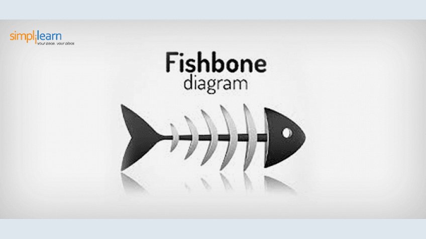 fish bone diagram