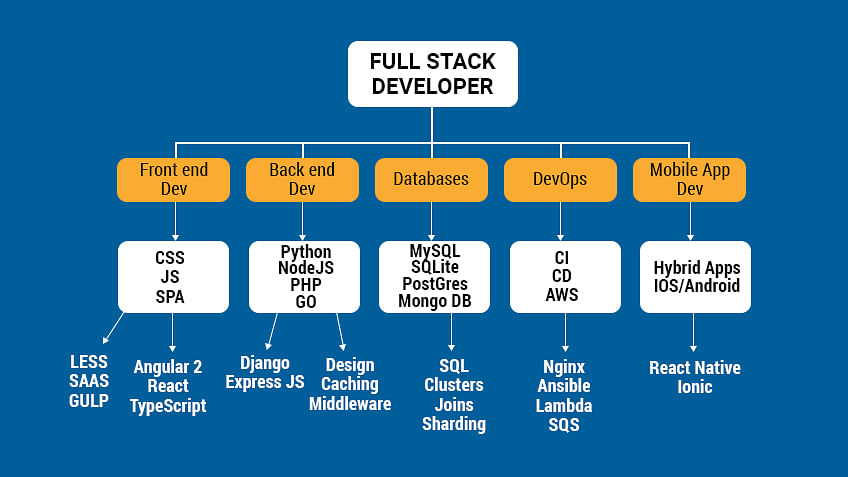 What Is a Full Stack Developer, and What Are the Most Needed Full Stack  Developer Skills?