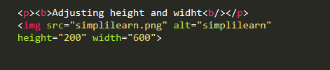 height-and-widht-html-inputs