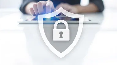 Information Security Management Principles