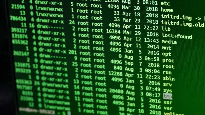 Kali Linux Commands: Everything You Need to Know