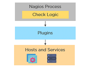 Nagios Process