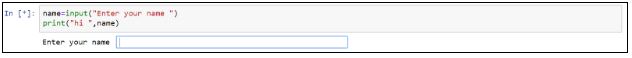 name-input