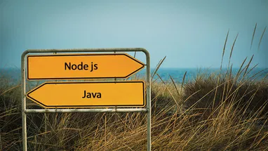 Node.js vs. Java: Differences, Applications, and Why You Should Learn Them
