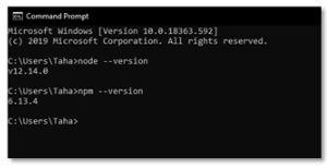 npm