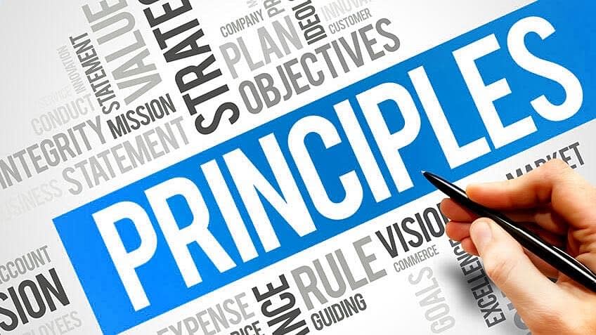 the basic project management principles