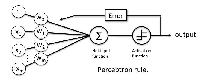 What Is Perceptron Simplilearn