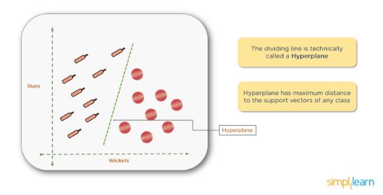the-dividing-line