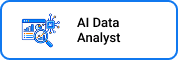 AI Data analyst