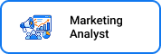 Marketing analyst
